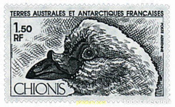 Sellos: 43422 MNH ANTARTIDA FRANCESA 1981 FAUNA