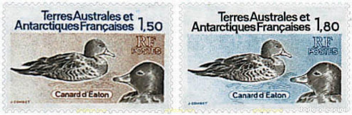 Sellos: 43424 MNH ANTARTIDA FRANCESA 1983 FAUNA