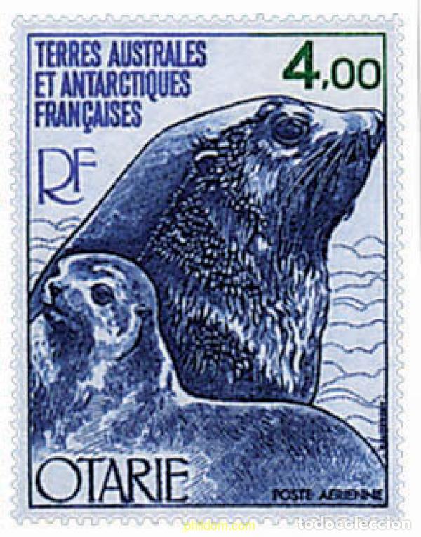 Selos: 578963 MNH ANTARTIDA FRANCESA 1979 FAUNA