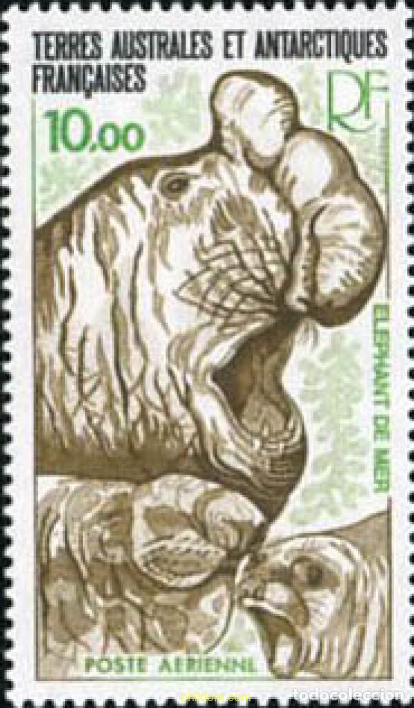 Sellos: 578964 MNH ANTARTIDA FRANCESA 1979 FAUNA