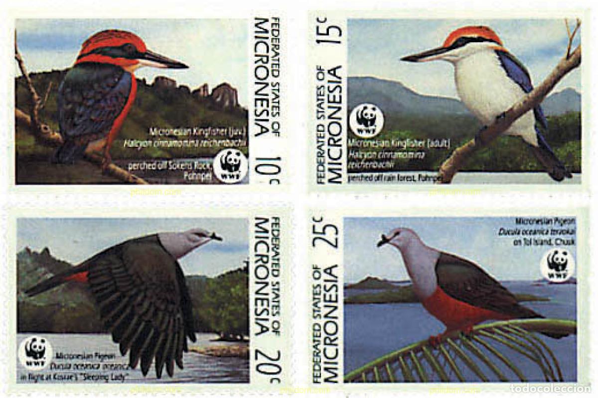 Sellos: 75209 MNH MICRONESIA 1990 ALCION Y DUCULA DE MICRONESIA