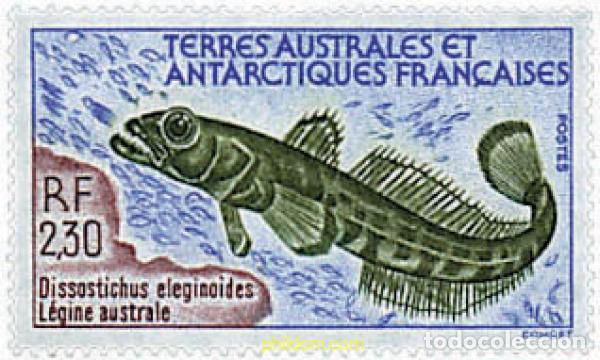Sellos: 578667 MNH ANTARTIDA FRANCESA 1992 FAUNA ANTARTICA