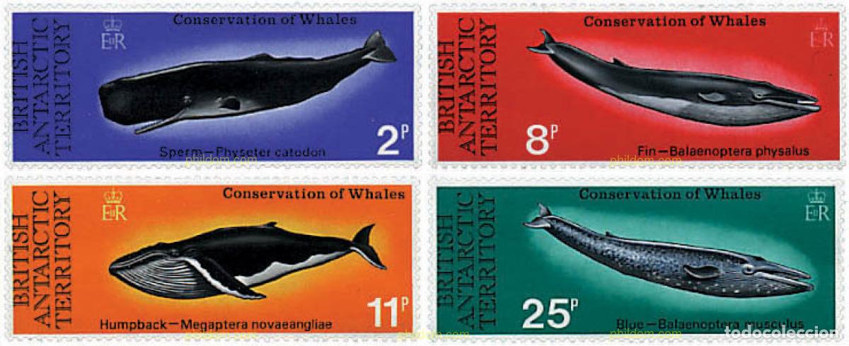 Sellos: 29253 MNH ANTARTIDA BRITANICA 1977 CONSERVACION DE LOS CETACEOS