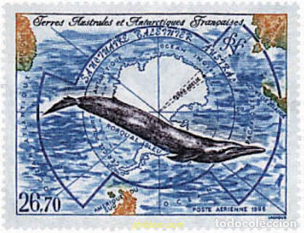 Sellos: 43470 MNH ANTARTIDA FRANCESA 1996 SANTUARIO BALLENAR AUSTRAL
