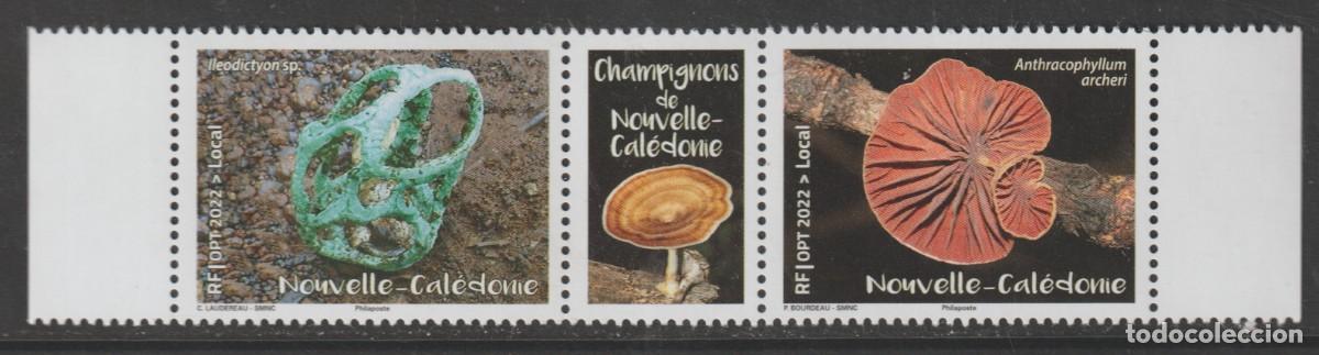Sellos: Nouvelle Caledonie 2022 - Champignons Timbre diptyque mnh**