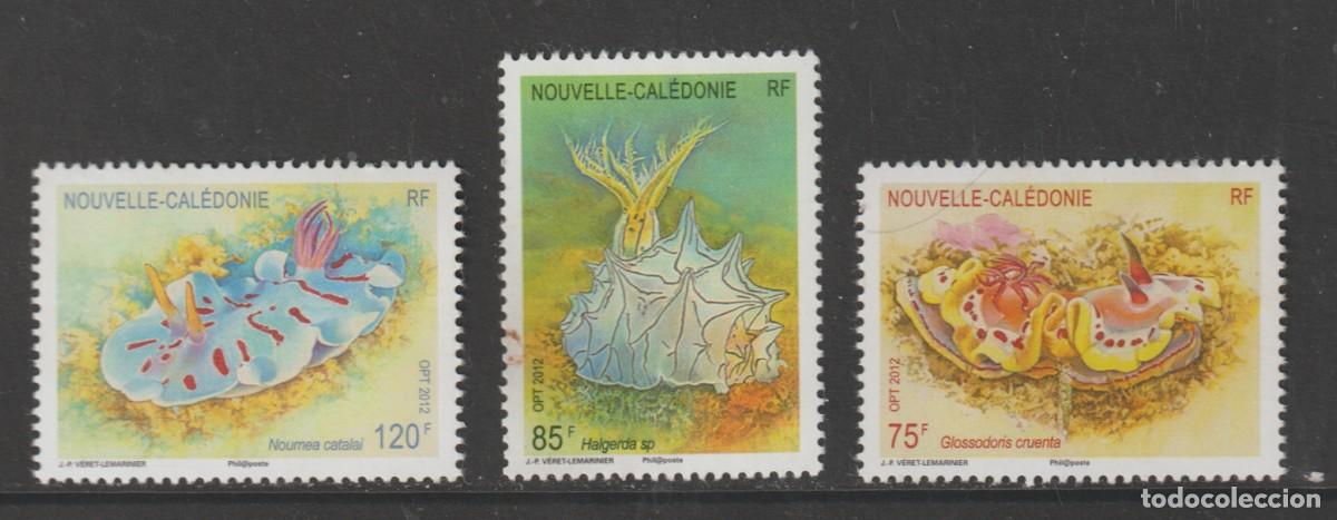 Sellos: Nouvelle Caledonie 2012 - Nudibranches set mnh**