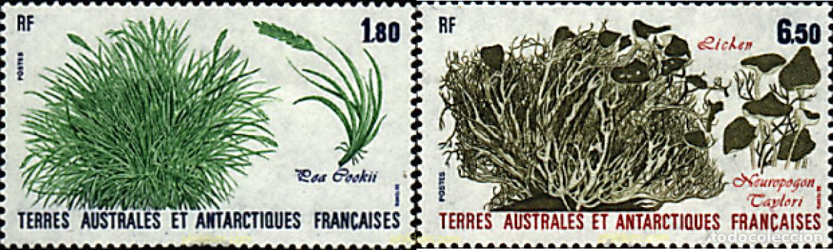 Sellos: 159851 MNH ANTARTIDA FRANCESA 1987 PLANTAS