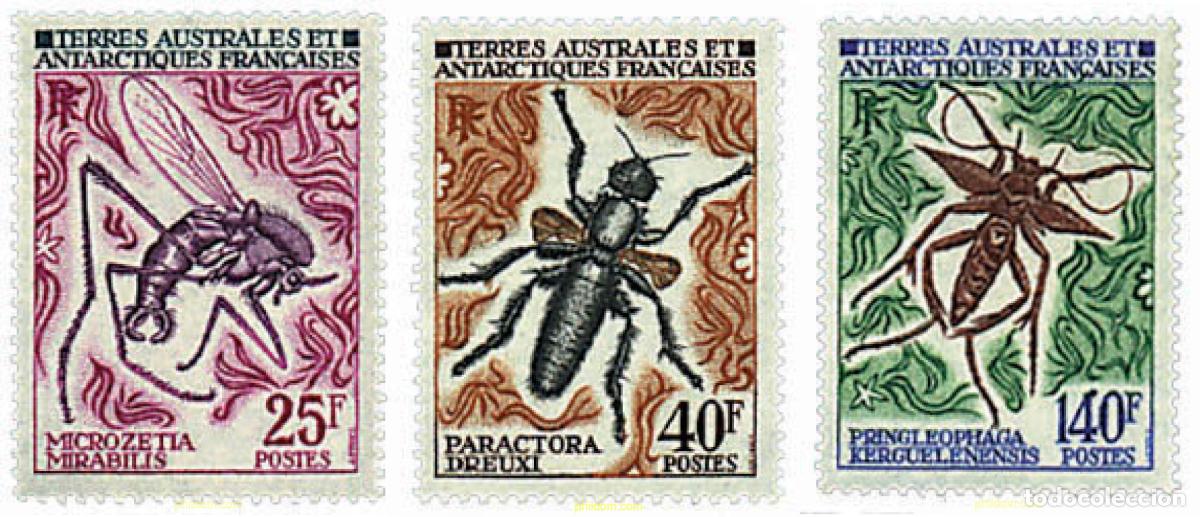 Sellos: 43408 MNH ANTARTIDA FRANCESA 1972 INSECTOS