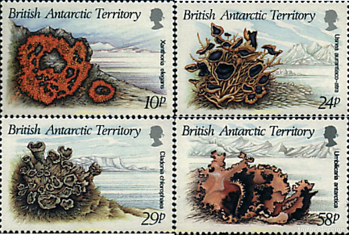 Sellos: 36333 MNH ANTARTIDA BRITANICA 1989 ALGAS