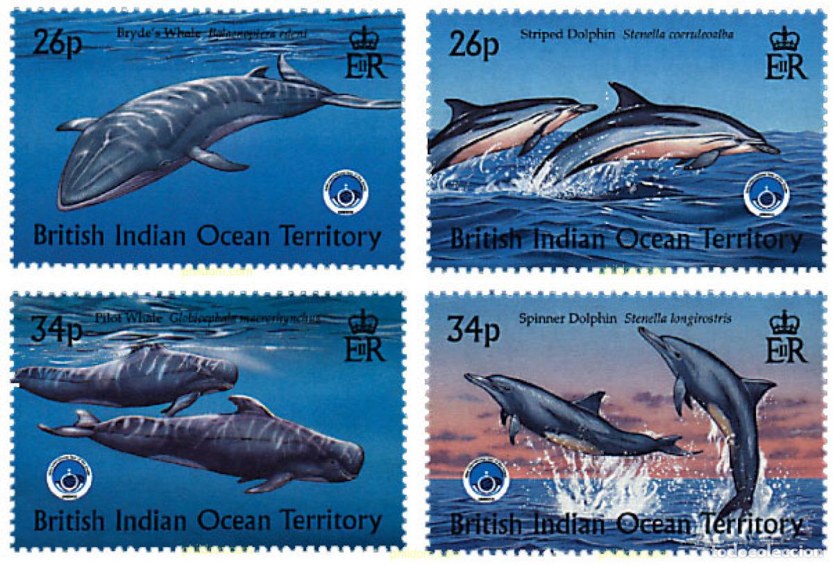 Sellos: 57011 MNH OCEANO INDICO BRITANICO 1998 A&Ntilde;O INTERNACIONAL DE LOS OCEANOS
