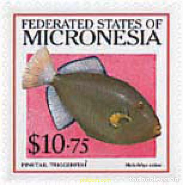 Sellos: 44424 MNH MICRONESIA 1998 PEZ
