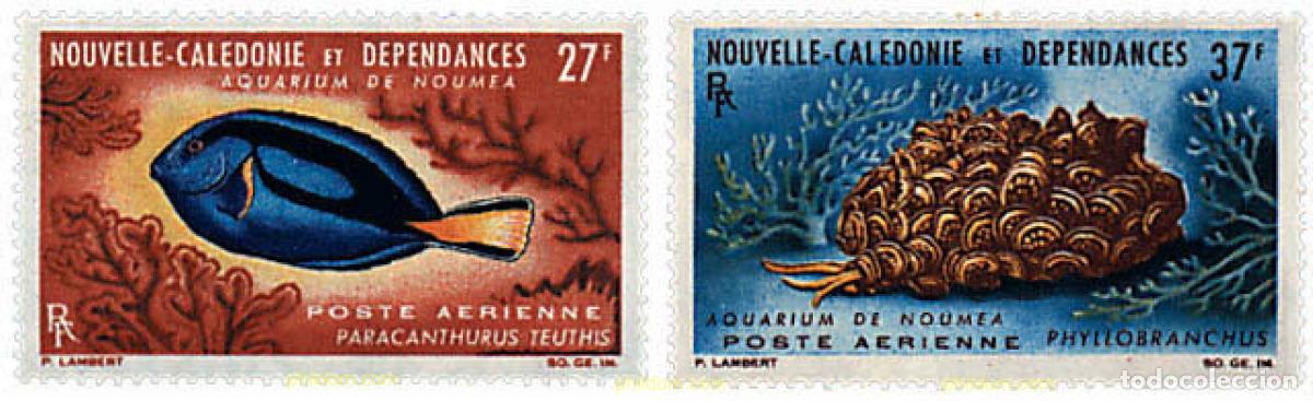 Sellos: 44446 MNH NUEVA CALEDONIA 1964 ACUARIO DE NOUMEA