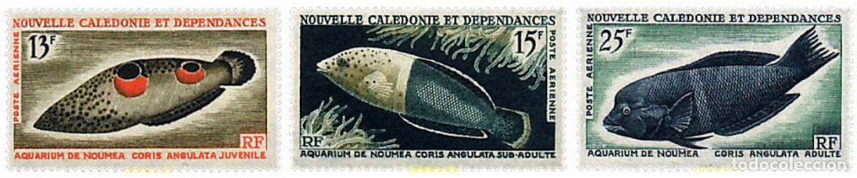 Sellos: 44447 MNH NUEVA CALEDONIA 1965 FAUNA DEL ACUARIO DE NOUMEA