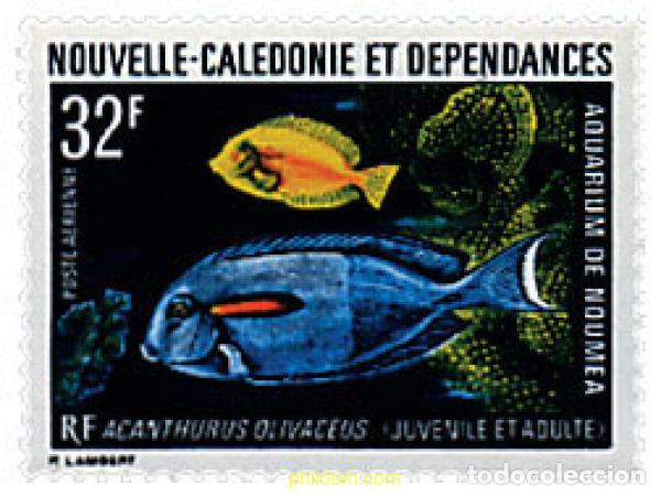 Sellos: 583738 MNH NUEVA CALEDONIA 1973 PECES DEL ACUARIO DE NOUMEA