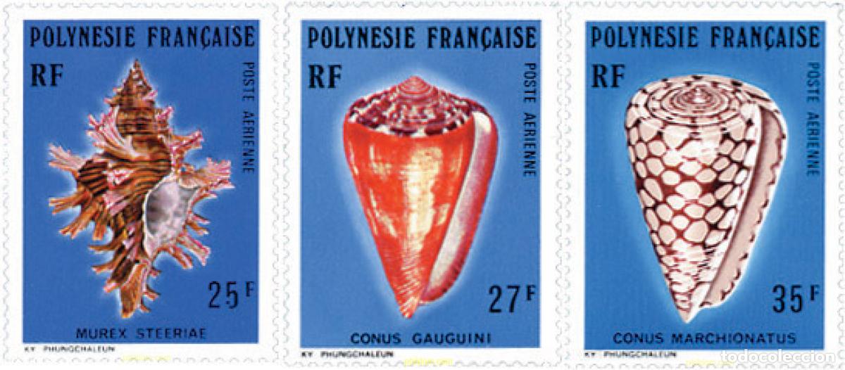 Sellos: 43558 MNH POLINESIA FRANCESA 1977 CONCHAS