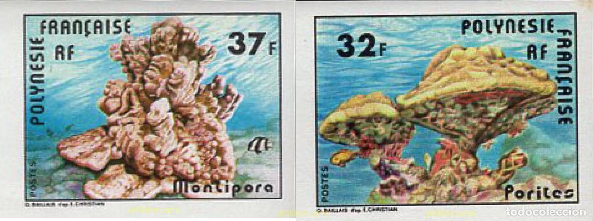 Sellos: 673504 MNH POLINESIA FRANCESA 1979 CORALES