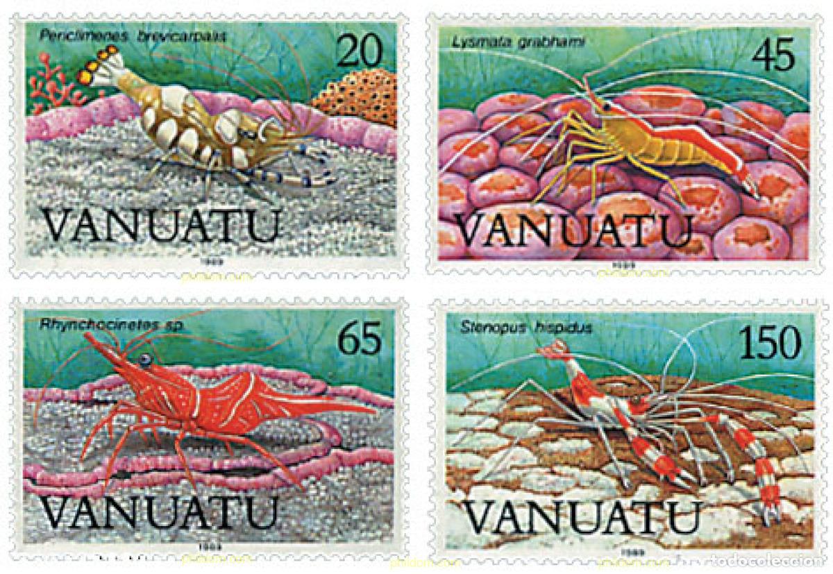 Sellos: 45812 MNH VANUATU 1989 FAUNA MARINA