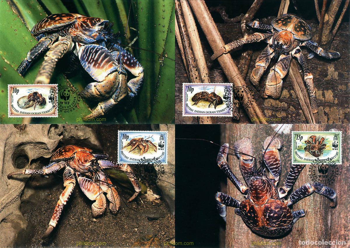 Sellos: 7386 MNH OCEANO INDICO BRITANICO 1993 PROTECCION DE LA NATURALEZA. CANGREJO COCOTERO