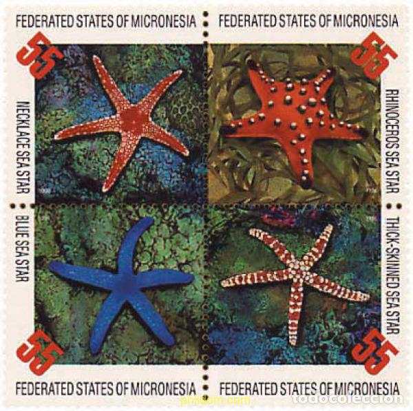 Sellos: 143455 MNH MICRONESIA 1996 ESTRELLAS DE MAR