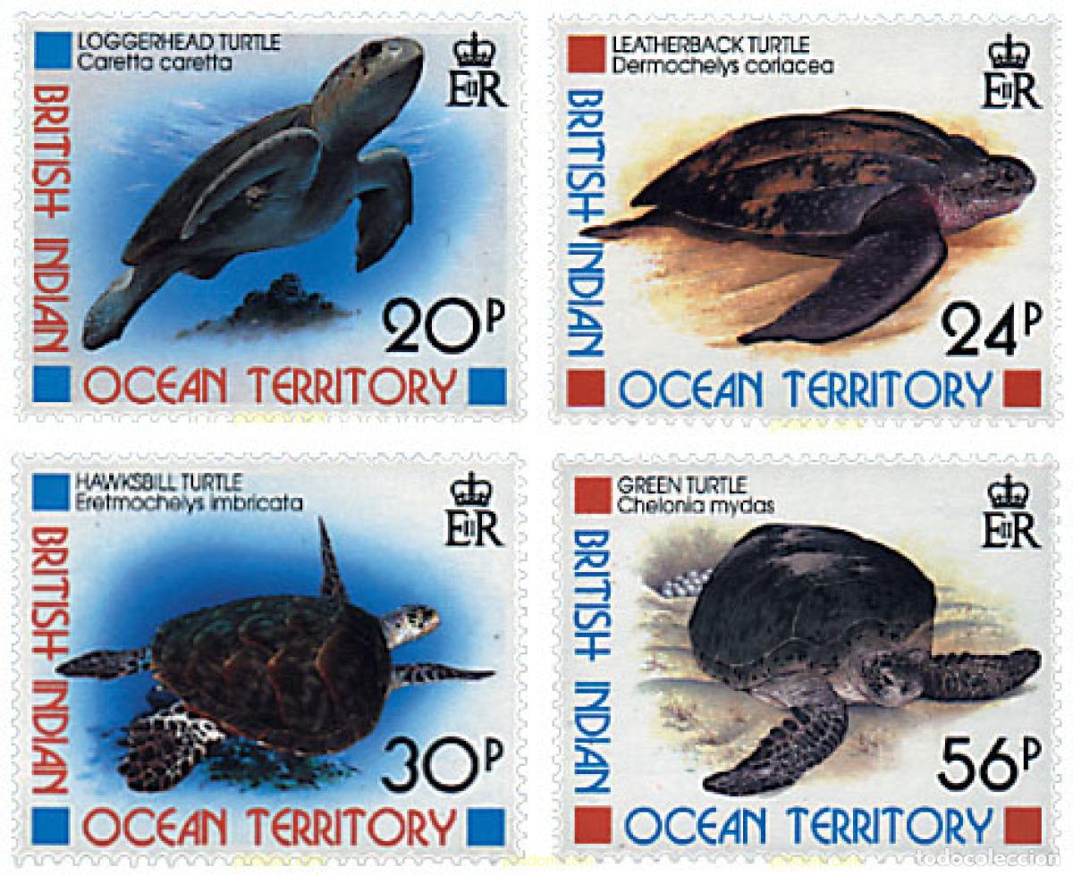 Sellos: 72865 MNH OCEANO INDICO BRITANICO 1996 TORTUGAS MARINAS