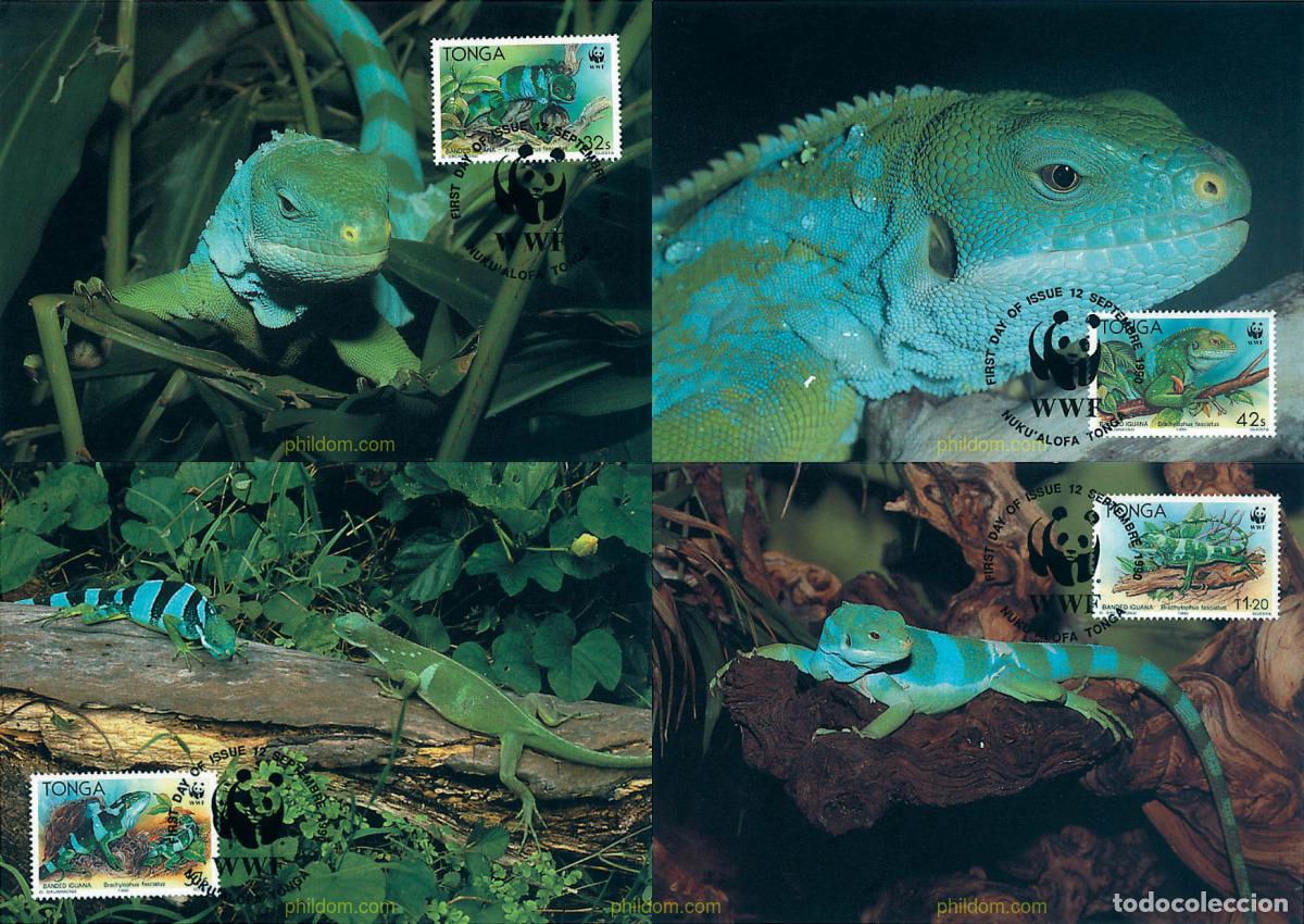 Sellos: 7362 MNH TONGA 1990 IGUANA DE BANDAS
