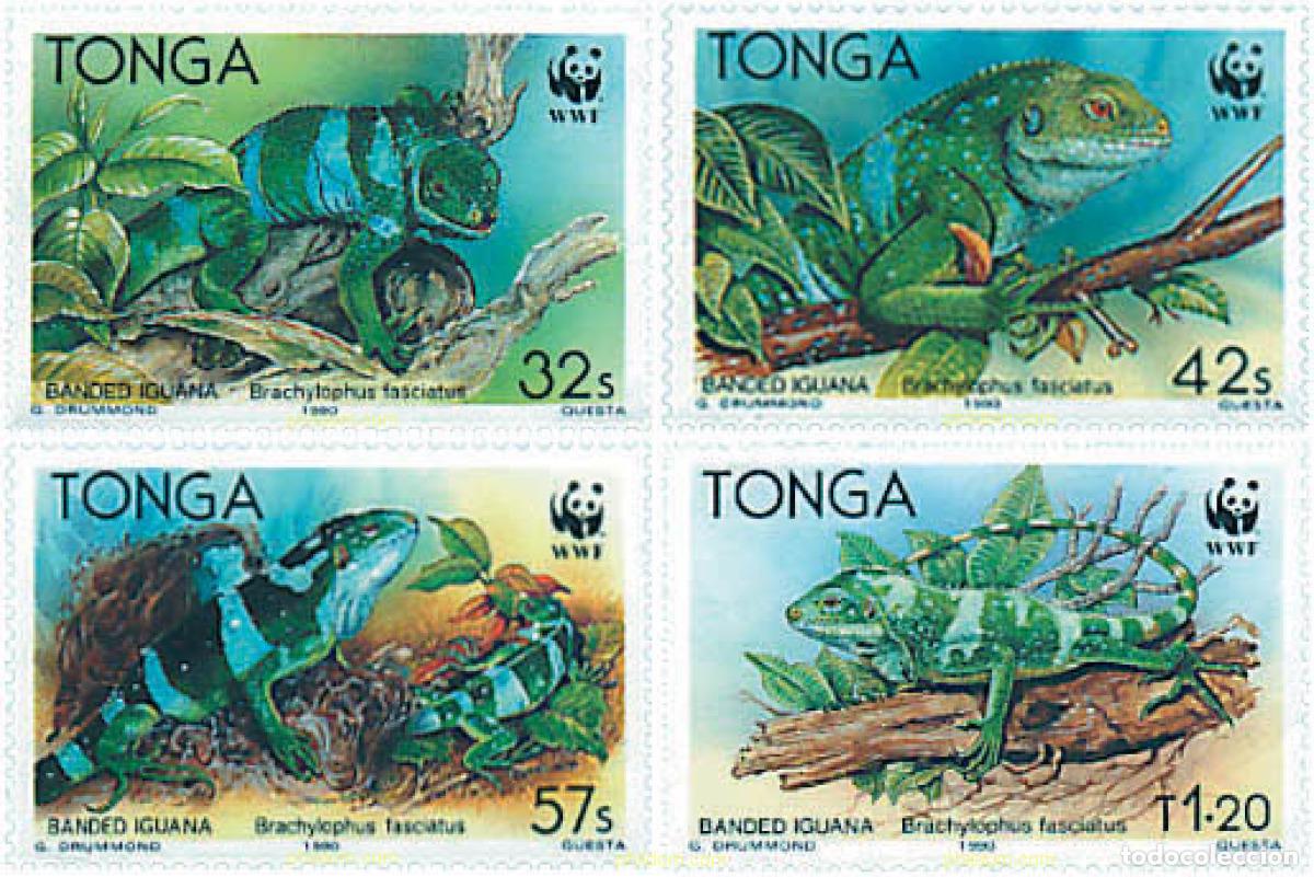 Sellos: 74537 MNH TONGA 1990 IGUANA DE BANDAS
