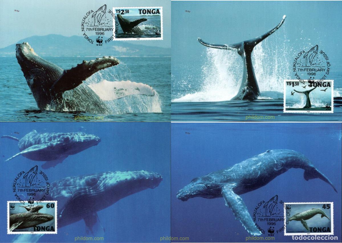 Sellos: 7430 MNH TONGA 1996 BALLENA JOROBADA