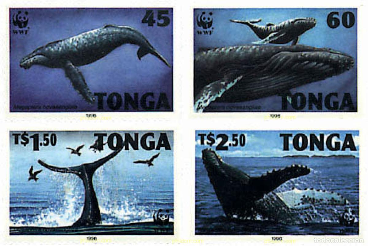 Sellos: 74144 MNH TONGA 1996 BALLENA JOROBADA