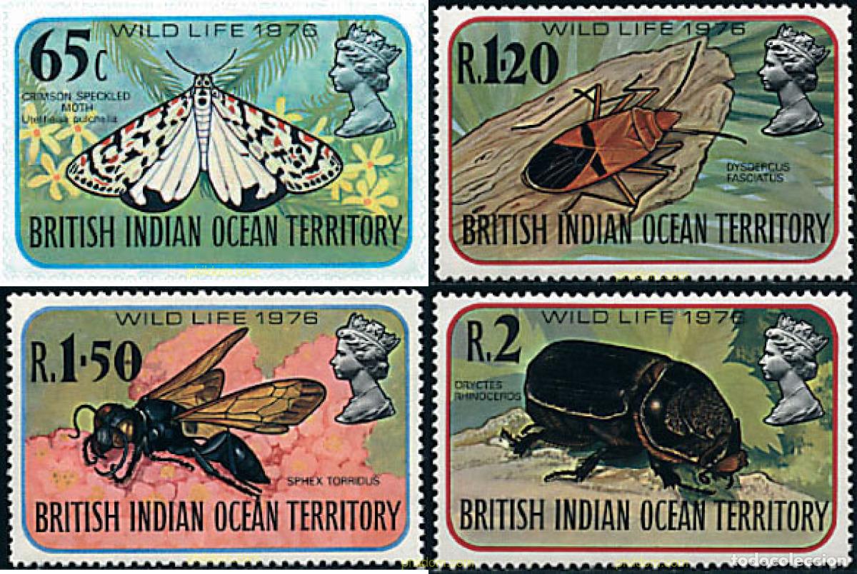 Sellos: 76726 MNH OCEANO INDICO BRITANICO 1976 INSECTOS
