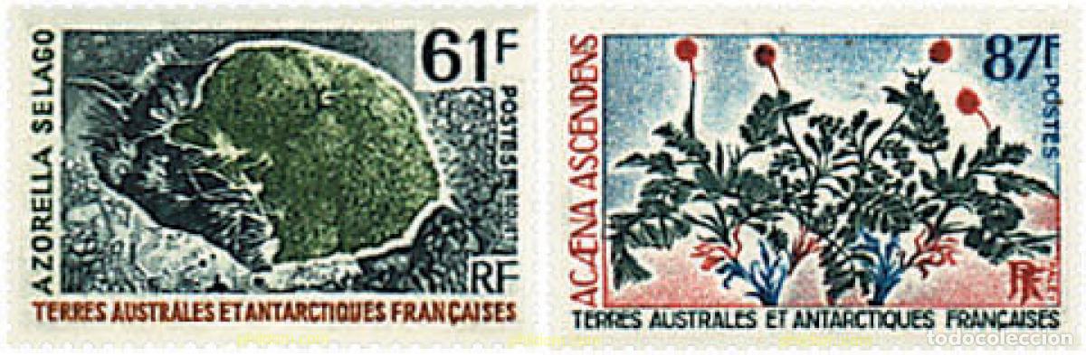 Sellos: 79054 MNH ANTARTIDA FRANCESA 1974 FLORA