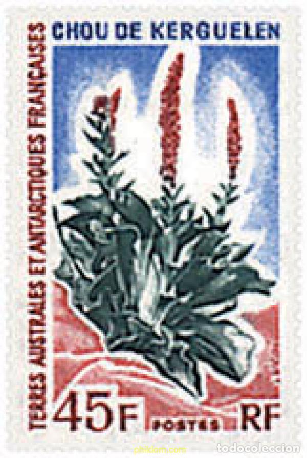 Sellos: 79055 MNH ANTARTIDA FRANCESA 1973 FLORA