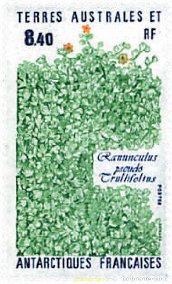 Sellos: 79057 MNH ANTARTIDA FRANCESA 1990 FLORA