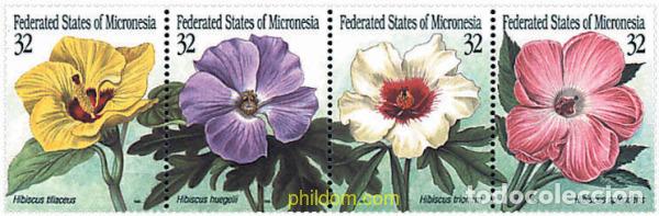 Sellos: 4454 MNH MICRONESIA 1995 HIBISCUS