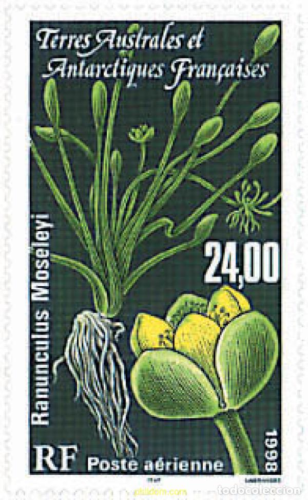 Sellos: 79076 MNH ANTARTIDA FRANCESA 1998 FLORA ANTARTICA
