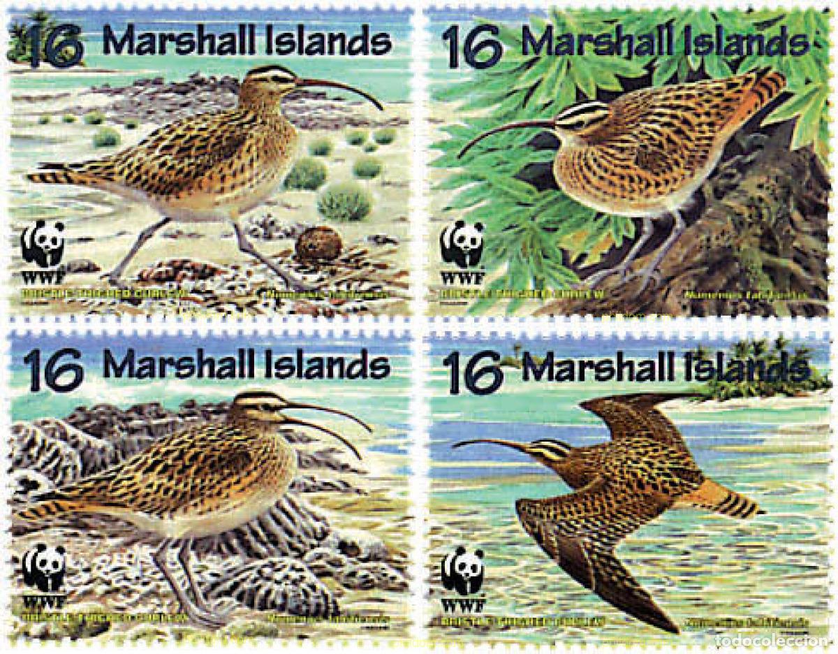 Sellos: 74185 MNH MARSHALL Islas 1997 ZARAPITO DEL PACIFICO