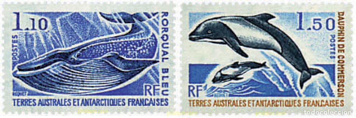 Sellos: 43415 MNH ANTARTIDA FRANCESA 1977 CETACEOS