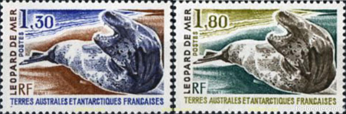 Sellos: 43421 MNH ANTARTIDA FRANCESA 1980 LEOPARDO MARINO