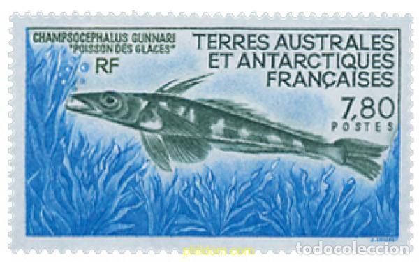 Sellos: 578666 MNH ANTARTIDA FRANCESA 1991 FAUNA ANTARTICA