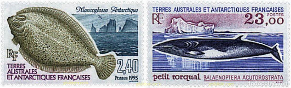 Sellos: 43457 MNH ANTARTIDA FRANCESA 1995 FAUNA ANTARTICA