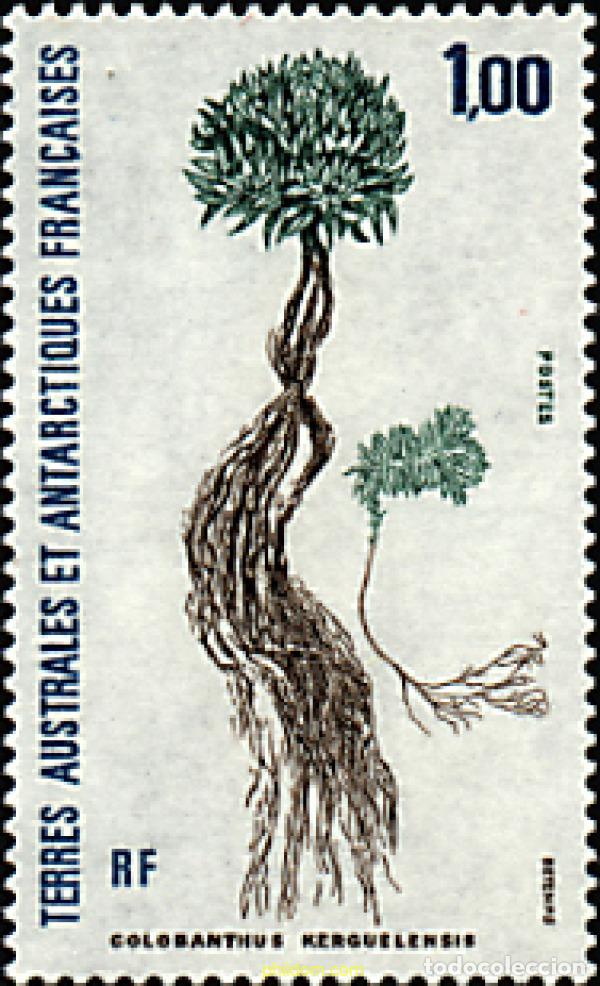 Sellos: 159852 MNH ANTARTIDA FRANCESA 1992 FLORA ANTARTICA