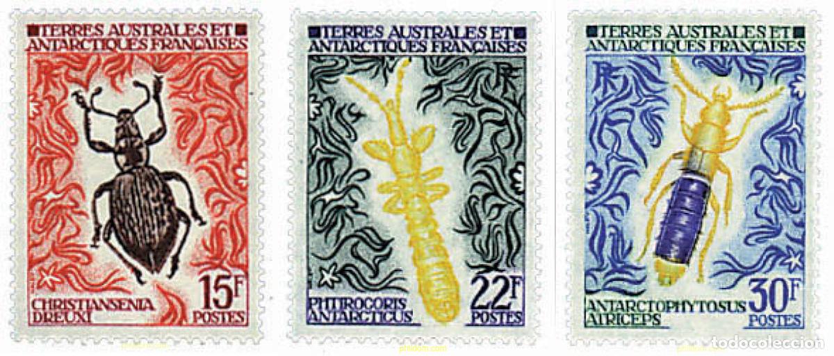Sellos: 43412 MNH ANTARTIDA FRANCESA 1972 INSECTOS