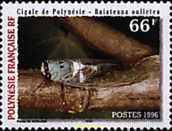 Sellos: 43657 MNH POLINESIA FRANCESA 1996 CIGARRA DE POLINESIA