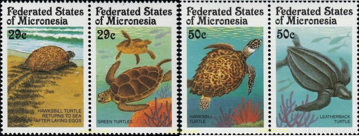 Sellos: 154516 MNH MICRONESIA 1991 TORTUGAS MARINAS