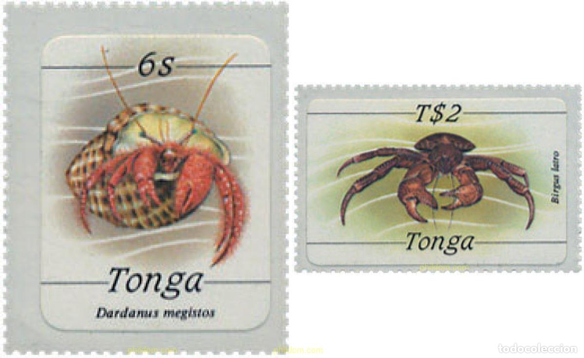Sellos: 365851 MNH TONGA 1984 FAUNA MARINA