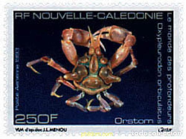 Sellos: 44563 MNH NUEVA CALEDONIA 1993 EL MUNDO DE LAS PROFUNDIDADES