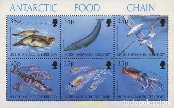Sellos: 32328 MNH ANTARTIDA BRITANICA 1994 CADENA ALIMENTARIA EN LA ANTARTIDA