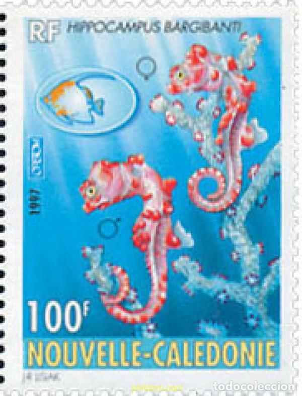Sellos: 44586 MNH NUEVA CALEDONIA 1997 5 CONFERENCIA SOBRE LOS PECES DE NOUMEA