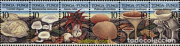 Sellos: 681085 MNH TONGA 1997 SETAS - Foto 1