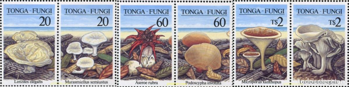 Sellos: 681086 MNH TONGA 1997 SETAS - Foto 1