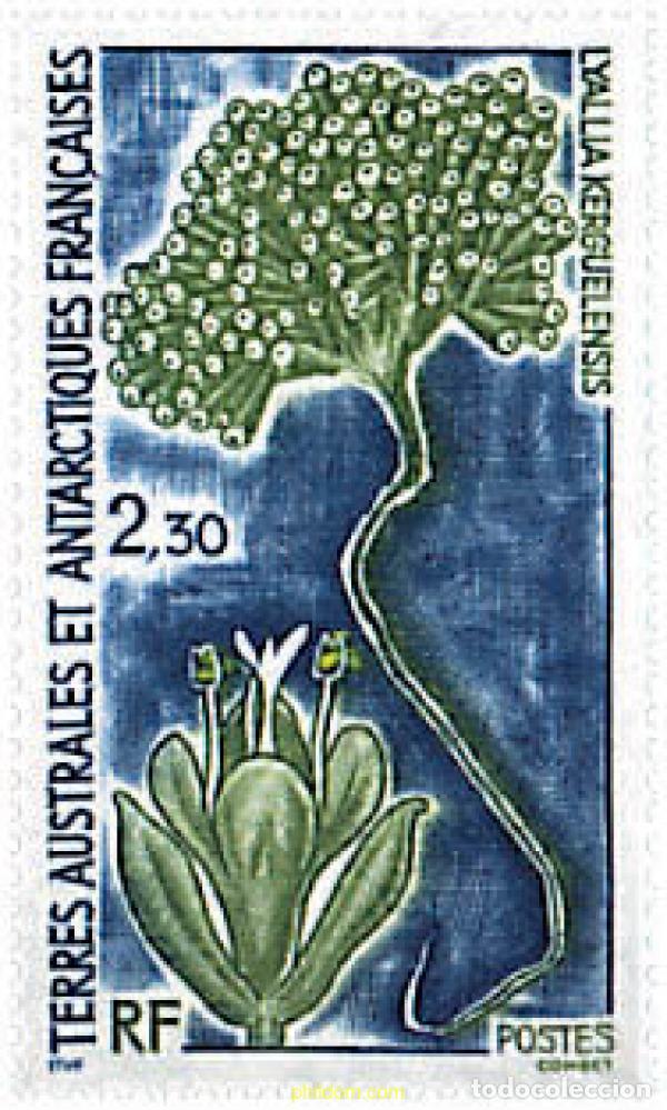 Sellos: 79058 MNH ANTARTIDA FRANCESA 1993 FLORA ANTARTICA